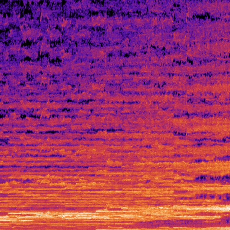 Magpie spectrogram